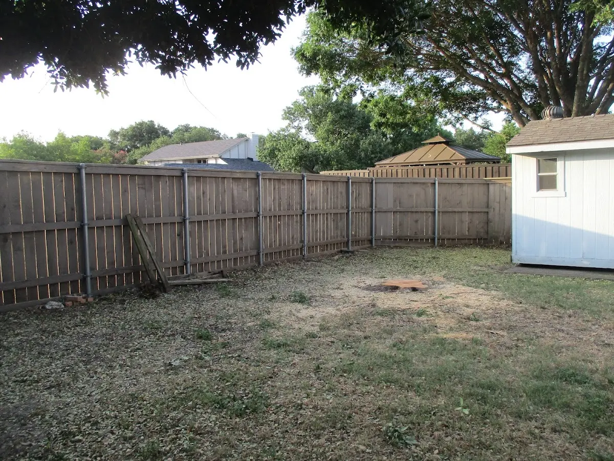Cleared yard after professional tree removal in Victor